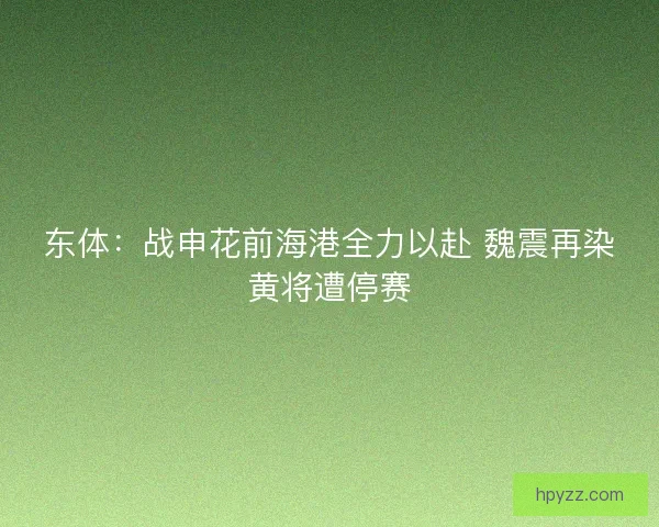 东体：战申花前海港全力以赴 魏震再染黄将遭停赛