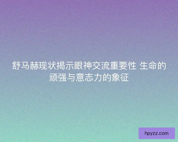 舒马赫现状揭示眼神交流重要性 生命的顽强与意志力的象征